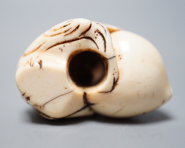 An 18th / 19th Chinese ivory 'monkey and peach' toggle. 4cm